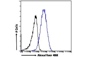 (ABIN185516) Flow cytometric analysis of paraformaldehyde fixed A431 cells (blue line), permeabilized with 0. (KPNB1 antibody  (C-Term))