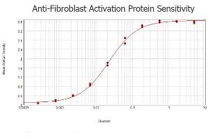 ELISA results of purified Rabbit anti-Fibroblast Activation Protein (FAP) Antibody tested against BSA-conjugated peptide of immunizing peptide. (FAP antibody  (Internal Region))