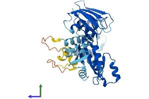 AlphaFold protein structure predicition of Mouse Recombinant Drg2 Protein, UniprotID Q9QXB9 (DRG2 Protein (AA 1-364) (His tag))