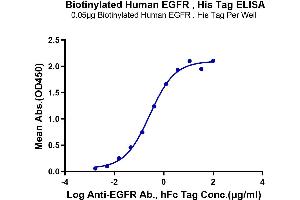 Immobilized Biotinylated Human EGFR at 0. (EGFR Protein (His-Avi Tag,Biotin))