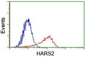 Image no. 2 for anti-Histidyl-tRNA Synthetase 2, Mitochondrial (Putative) (HARS2) antibody (ABIN1498582) (HARS2 antibody)