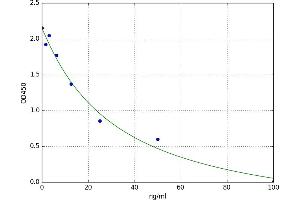 RAB11A, Member RAS Oncogene Family (RAB11A) ELISA Kit