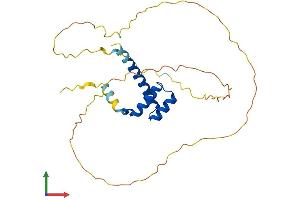 AlphaFold protein structure predicition of Human Recombinant HOXC9 Protein, UniprotID P31274