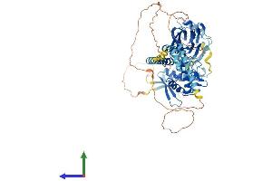 AlphaFold protein structure predicition of Mouse Recombinant Scnn1a Protein, UniprotID Q61180