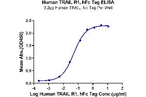 Immobilized Human TRAIL, No Tag at 2 μg/mL(100 μL/well) on the plate.