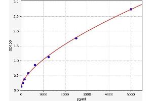 Angiotensin II Type 2 Receptor ELISA Kit