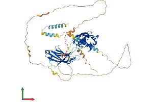 AlphaFold protein structure predicition of Human Recombinant SYT3 Protein, UniprotID Q9BQG1