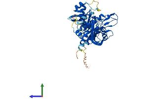 AlphaFold protein structure predicition of Human Recombinant NUDT13 Protein, UniprotID Q86X67