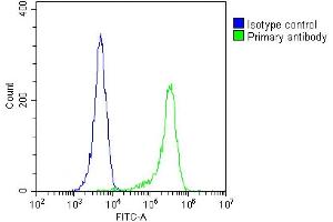 Overlay histogram showing  cells stained with (ABIN655635 and ABIN2845114)(green line). (MLANA antibody  (AA 34-60))