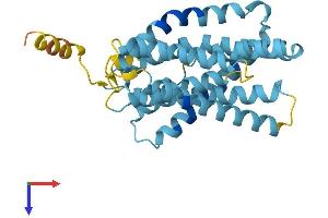 AlphaFold protein structure predicition of Human Recombinant SLC9B1P1 Protein, UniprotID A6NJY1 (SLC9B1P1 Protein (AA 1-282) (His tag))