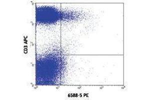 Flow Cytometry (FACS) image for anti-Chemokine (C-C Motif) Receptor 10 (CCR10) antibody (PE) (ABIN2662919) (CCR10 antibody  (PE))