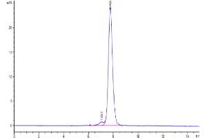 The purity of Human CDH17 Domain 6-7 is greater than 95 % as determined by SEC-HPLC.