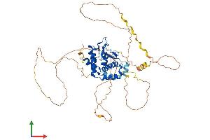 Protein Structure (PS) image for Nuclear Factor I/X (MLZE) (AA 1-502) protein (His tag) (ABIN7549790)