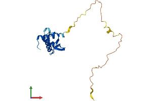 Protein Structure (PS) image for Ribosomal Protein S10 (RPS10) (AA 1-165) protein (His tag) (ABIN7556654)