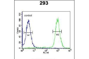 Flow cytometric analysis of 293 cells (right histogram) compared to a negative control cell (left histogram). (WDR11 antibody  (AA 544-572))