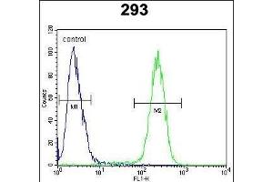 TMEM66 Antibody (N-term) (ABIN654703 and ABIN2844395) flow cytometric analysis of 293 cells (right histogram) compared to a negative control cell (left histogram). (TMEM66 antibody  (N-Term))