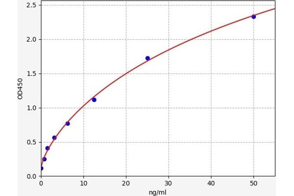 MC5 Receptor ELISA Kit