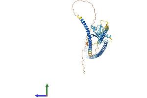 Protein Structure (PS) image for Ras Association (RalGDS/AF-6) Domain Family (N-terminal) Member 9 (RASSF9) (AA 1-435) protein (His tag) (ABIN7559532)