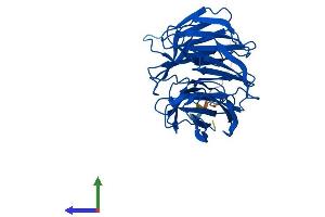 AlphaFold protein structure predicition of Human Recombinant WDR5B Protein, UniprotID Q86VZ2 (WDR5B Protein (AA 1-330) (His tag))