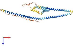 AlphaFold protein structure predicition of Human Recombinant TMEM191B Protein, UniprotID P0C7N4 (TMEM191B Protein (AA 1-346) (His tag))
