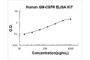 Colony Stimulating Factor 2 Receptor, Alpha, Low-Affinity (Granulocyte-Macrophage) (CSF2RA) ELISA Kit