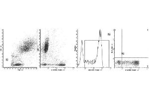 Image no. 1 for anti-Protein tyrosine Phosphatase, Receptor Type, C (PTPRC) antibody (ABIN1106411) (CD45 antibody)