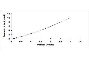 Typical standard curve (RACGAP1 ELISA Kit)