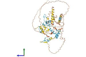 AlphaFold protein structure predicition of Mouse Recombinant Ikzf1 Protein, UniprotID Q03267
