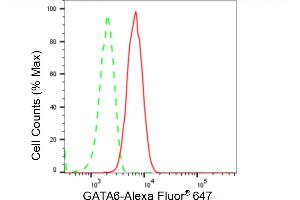 Flow cytometric analysis of GATA6 expression in HT- cells using GATA6 antibody (ABIN7798697), 1:2,000). (Recombinant GATA6 antibody)