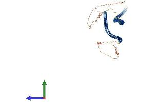 AlphaFold protein structure predicition of Human Recombinant KRT85 Protein, UniprotID P78386 (Keratin 85 Protein (KRT85) (AA 1-507) (His tag))