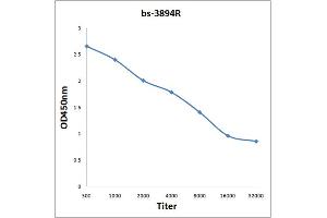 Antigen: 0. (SULF2 antibody  (AA 651-750))