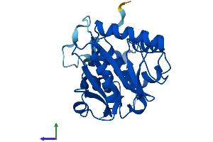 AlphaFold protein structure predicition of Human Recombinant UCHL3 Protein, UniprotID P15374