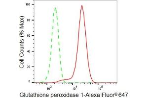 Flow cytometric analysis of Glutathione peroxidase 1 expression in HeLa cells using Glutathione peroxidase 1 antibody (ABIN7798752), 1:2,000).