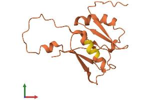 AlphaFold protein structure predicition of Human Recombinant FER1L6-AS2 Protein, UniprotID Q96M78 (FER1L6-AS2 Protein (AA 1-137) (His tag))
