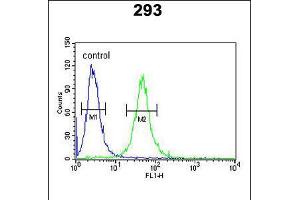 Flow cytometric analysis of 293 cells (right histogram) compared to a negative control cell (left histogram). (GATA2 antibody  (AA 262-288))