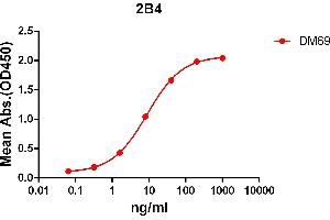 ELISA plate pre-coated by 2 μg/mL (100 μL/well) Human 2B4 protein, mFc-His tagged protein (ABIN6961083) can bind Rabbit anti-2B4 monoclonal antibody (clone: DM69) in a linear range of 1-100 ng/mL. (Recombinant 2B4 antibody  (AA 22-221))