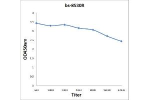 Antigen: 2 µg/100 µL  Primary: Antiserum, 1:500, 1:1000, 1:2000, 1:4000, 1:8000, 1:16000, 1:32000;  Secondary: HRP conjugated Rabbit Anti-Goat IgG at 1: 5000;  TMB staining Read the data in Microplate Reader by 450nm. (SDHC antibody  (AA 81-169))