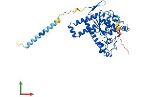 Protein Structure (PS) image for tyrosylprotein Sulfotransferase 2 (TPST2) (AA 1-376) protein (His tag) (ABIN7562677)