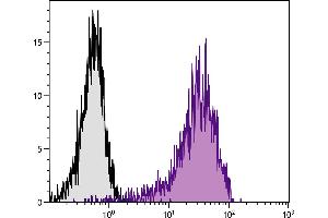 PMA and ionomycin stimulated BALB/c mouse splenocytes were stained with Hamster Anti-Mouse CD69-PACBLU. (CD69 antibody)