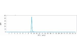 anti-LAG3 (Miptenalimab Biosimilar) antibody