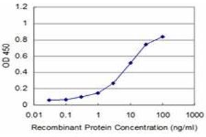 Detection limit for recombinant GST tagged RAX is approximately 1ng/ml as a capture antibody. (RAX antibody  (AA 104-206))