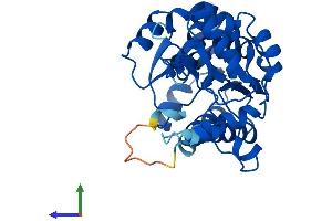 Protein Structure (PS) image for NmrA-Like Family Domain Containing 1 (NMRAL1) (AA 1-309) protein (His tag) (ABIN7559518)