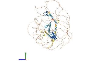 Protein Structure (PS) image for Apoptotic Chromatin Condensation Inducer 1 (ACIN1) (AA 1-1338) protein (His tag) (ABIN7565093)