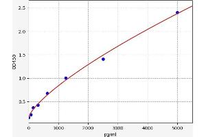 Typical standard curve (SFTPD ELISA Kit)