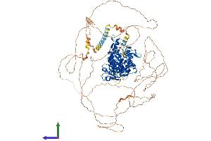 AlphaFold protein structure predicition of Human Recombinant DENND1A Protein, UniprotID Q8TEH3 (DENND1A Protein (AA 1-1009) (His tag))