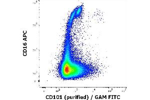 Flow cytometry multicolor surface staining of human lymphocytes stained using anti-human CD101 (BB27) purified antibody (concentration in sample 0,56 μg/mL, GAM FITC) and anti-human CD16 (3G8) APC antibody (10 μL reagent / 100 μL of peripheral whole blood). (CD101 antibody)