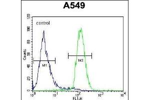 LILRA2 Antibody (Center) (ABIN654421 and ABIN2844156) flow cytometric analysis of A549 cells (right histogram) compared to a negative control cell (left histogram).
