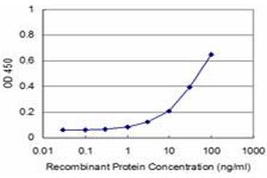 Detection limit for recombinant GST tagged RHOA is approximately 3ng/ml as a capture antibody. (RHOA antibody  (AA 1-193))