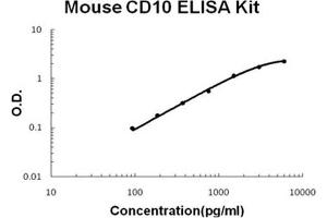 Mouse Neprilysin/CD10 PicoKine ELISA Kit standard curve (MME ELISA Kit)