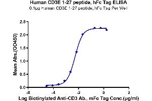 Immobilized Human CD3E 1-27 peptide, hFc Tag at 1 μg/mL (100 μL/Well) on the plate. (CD3 epsilon Protein (CD3E) (AA 23-48) (Fc-Avi Tag))